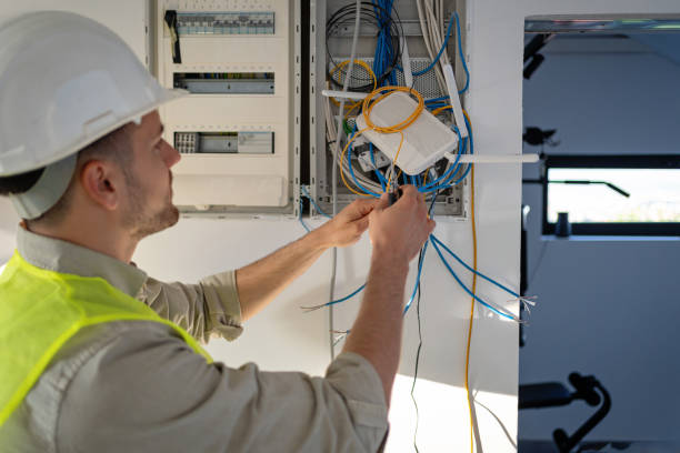 Best Electric Panel Repair  in Cecilia, LA